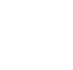 Support & Maintenance (Complementary)